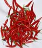 RED CHILLIES